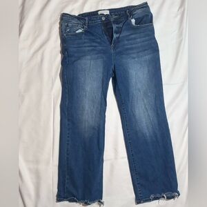 GUC Risen Straight Distressed Jeans size 16W